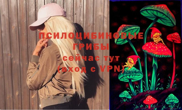 ПСИЛОЦИБИНОВЫЕ ГРИБЫ Абинск
